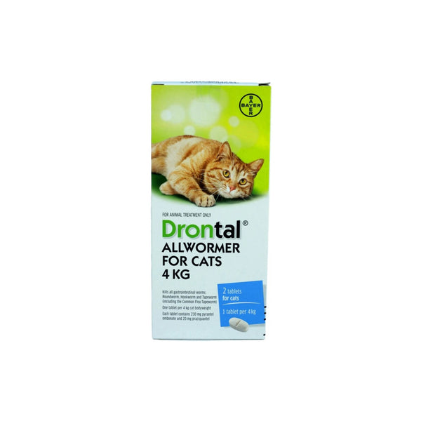 drontal cat