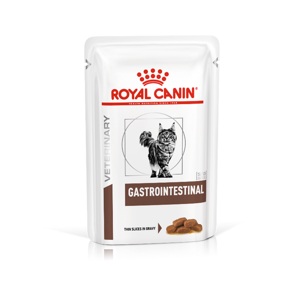 gastro royal canin cat