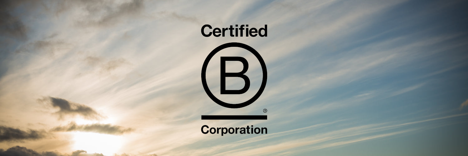 B Corp Banner