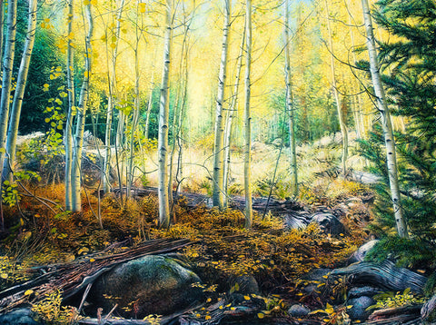 Colorado aspen tree forest oil on canvas painting by fine artist Thane Gorek