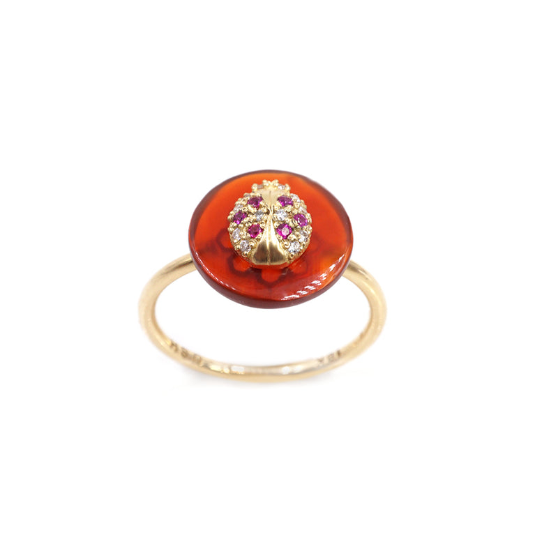 Co-Exist Ladybug on Gemstone Ring