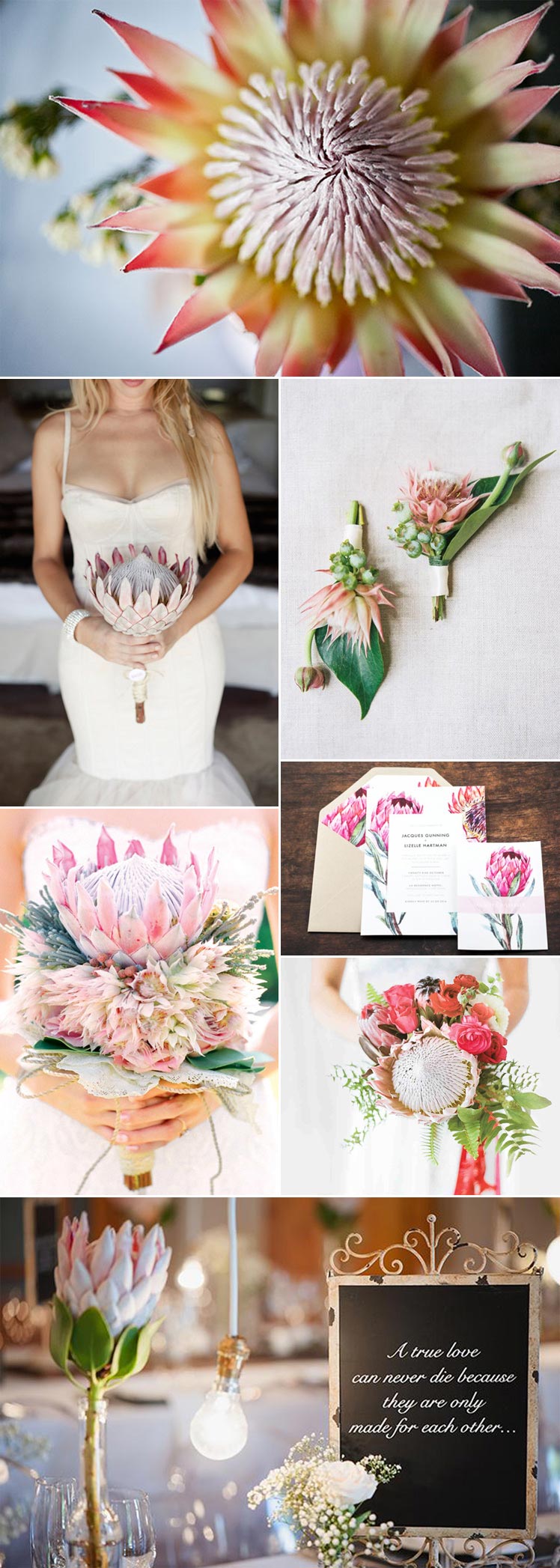 Stunning protea wedding bouquet ideas