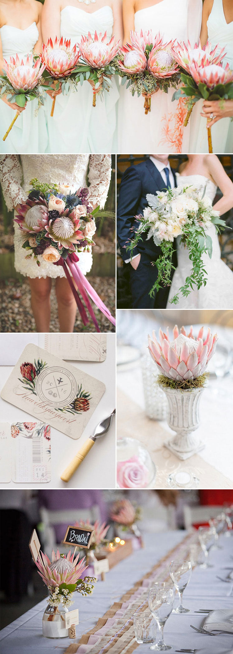 Protea wedding flower ideas