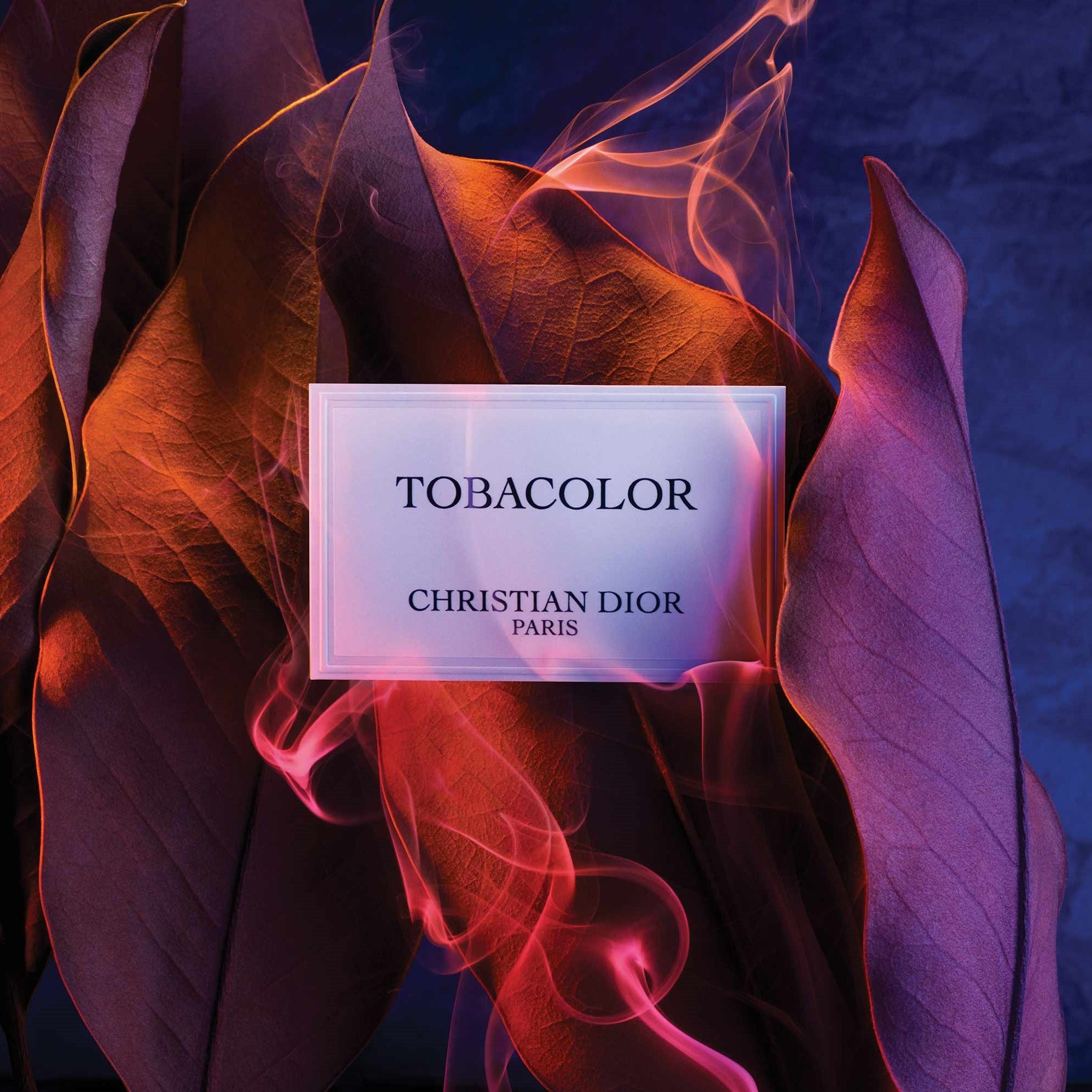 dior tobacolor pret