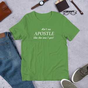 Ain't no Apostle like the one I got