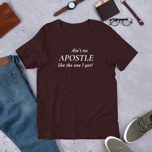 Ain't no Apostle like the one I got