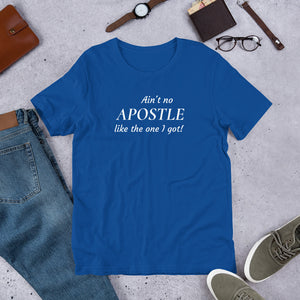 Ain't no Apostle like the one I got