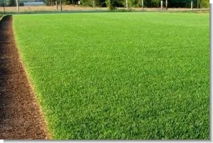 What is Commercial Mix Grass Seed? 