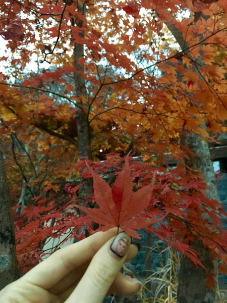 Fall in Karuizawa