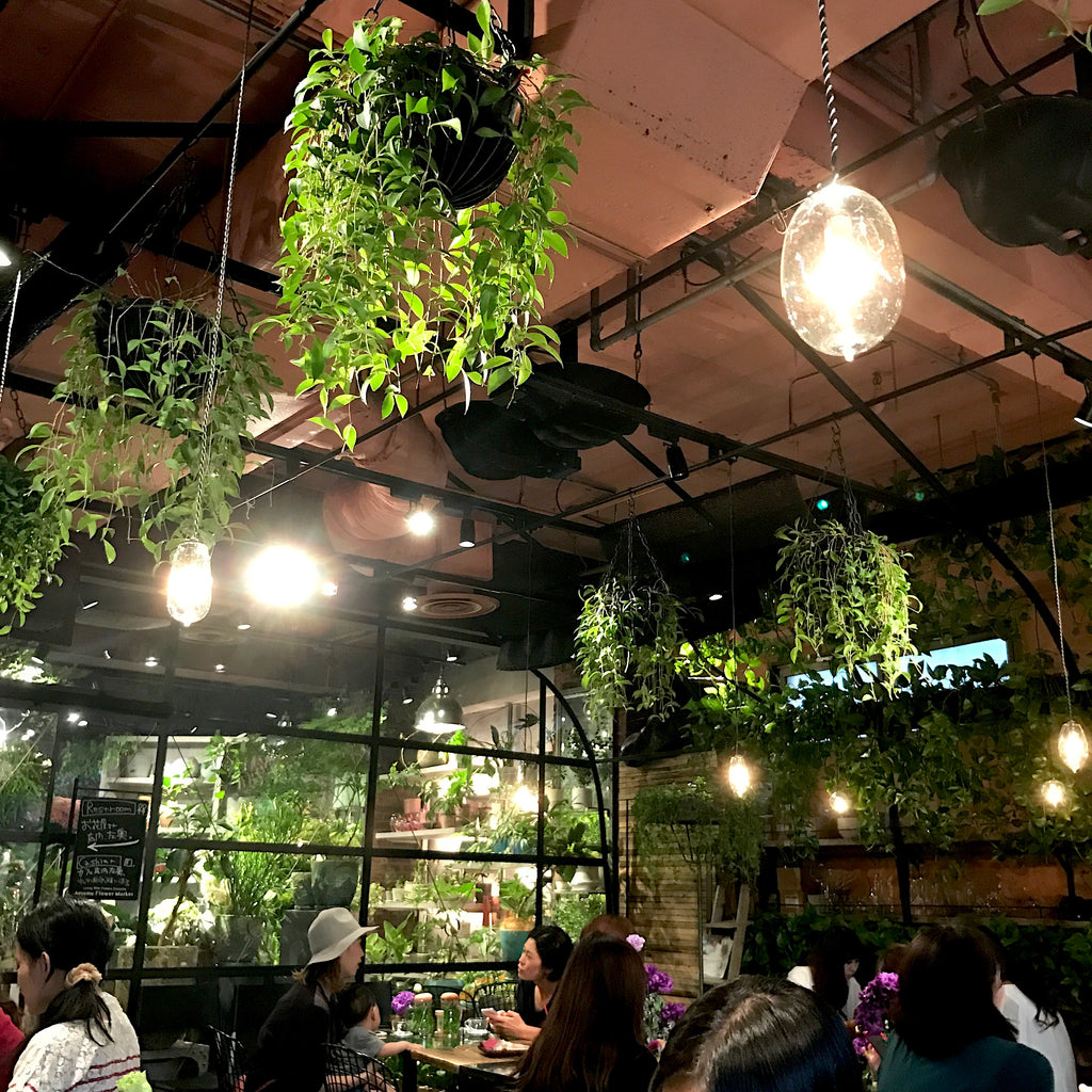 Aoyama Flower Market Teahouse