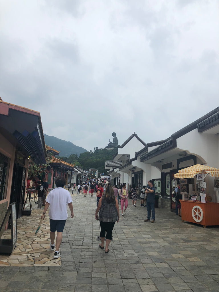 My Husband and Mom going to visit the Tian Tian Buddha