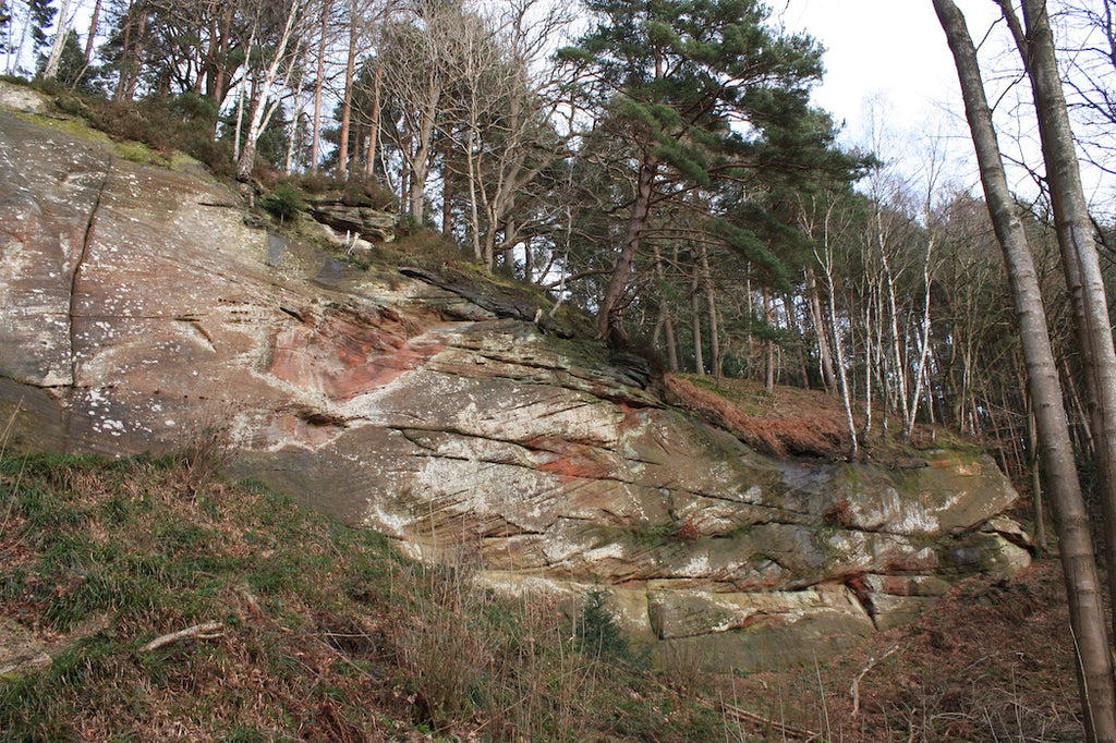 Sandstone outcrop Armathwaite Crag in Coombs Wood, Cumbria