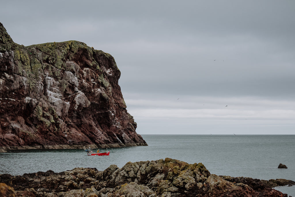 Fishing boat below cliffs St Abb's Head