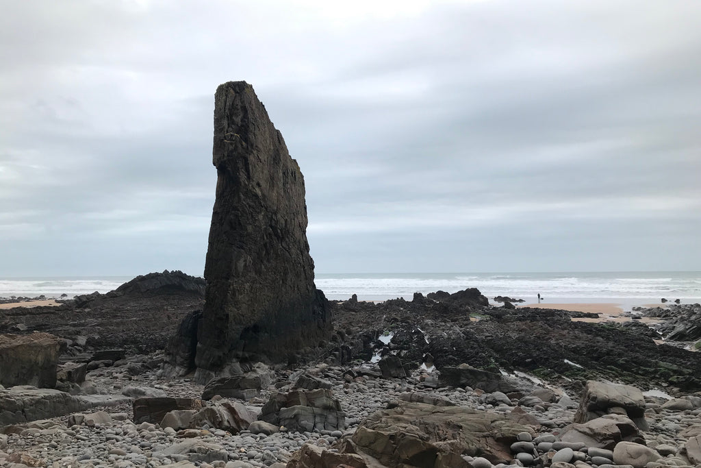 Rock fin on Northcott Mouth beach
