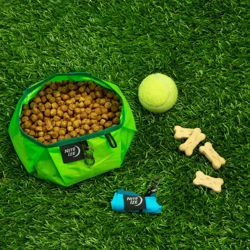 NITE IZE Pet Dog Collapsible Bowl - Lime