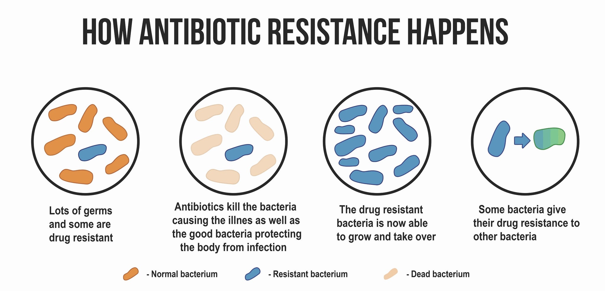 CBD and antibiotics