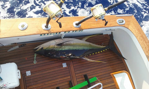 High Flier, Yellowfin