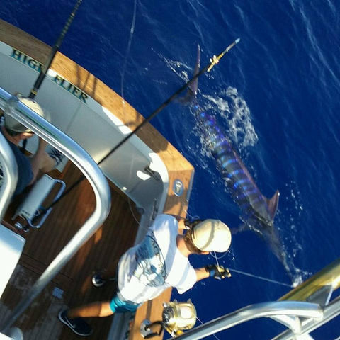 High Flier, Striped Marlin, catch & Release, Kona , FIshing