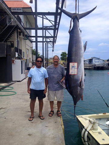 Humdinger, Kona sportfishing