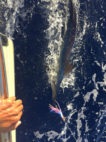 Humdinger, sportfishing, kona