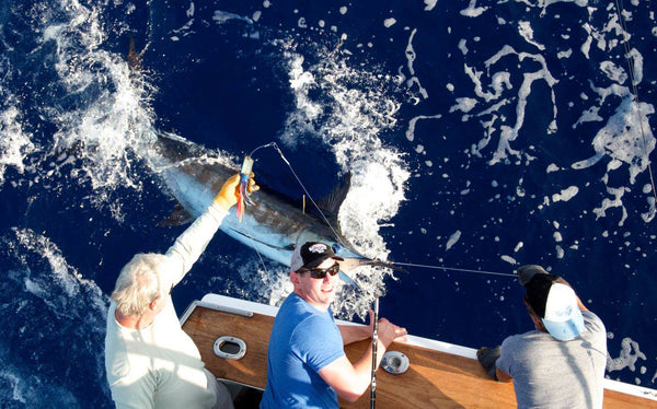 Marlin Magic, kona fishing