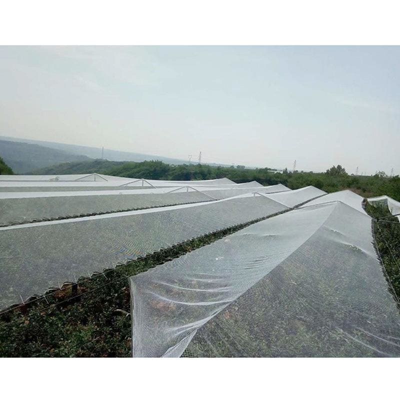 Anti Bird Net Plastic Pond Fruit Tree Vegetable Netting Protection Crops Protect Garden Mesh Pest My Web Store Shopping
