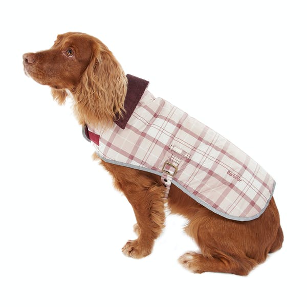 barbour winter dog coat