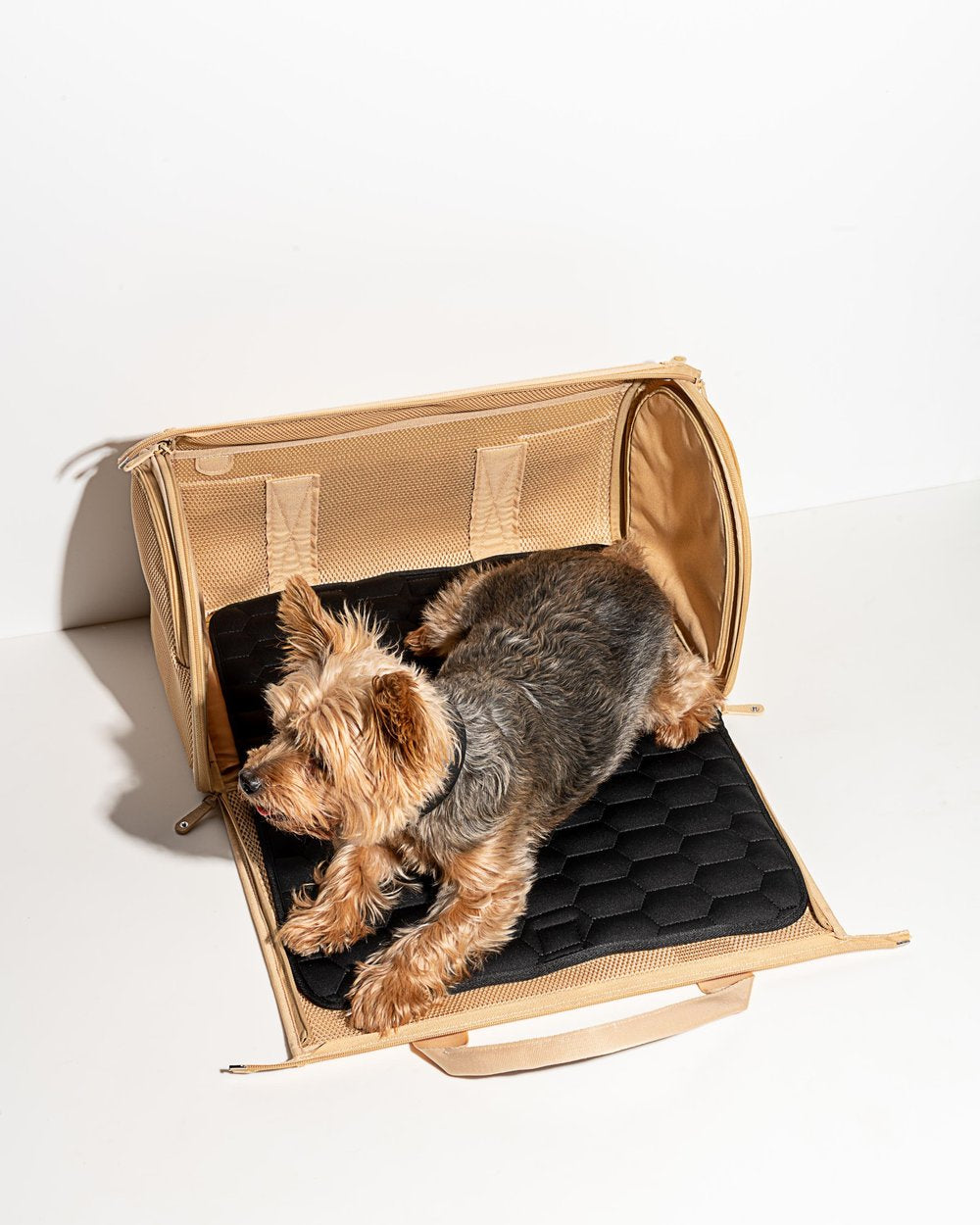 Wild One Travel Carrier | TSA Approved Dog Bag