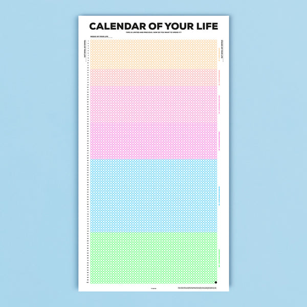 Calendar of Your Life Infographic Poster in a nutshell kurzgesagt