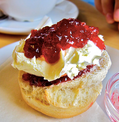 Scone with cream and jam