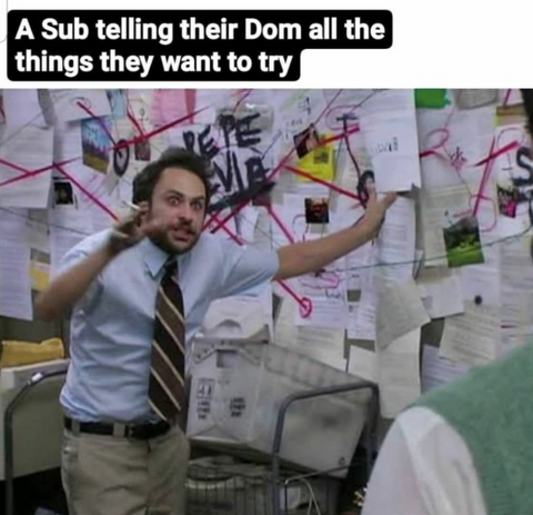 A sub telling their Dom all the things they want to try