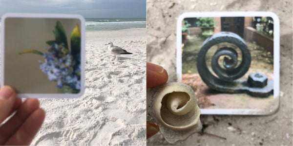 Two OuiSi photo cards at the beach. On left, a photo card of a flower looks like a seagull nearby. On right, a photo card with a metal spiral that looks like a spiraled shell nearby.