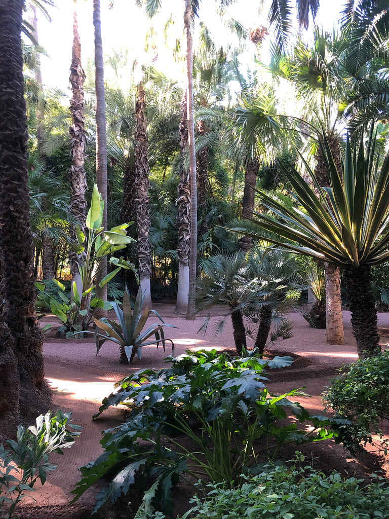 Recess Los Angeles RecessAbroad Marrakech Morocco Jardin Majorelle