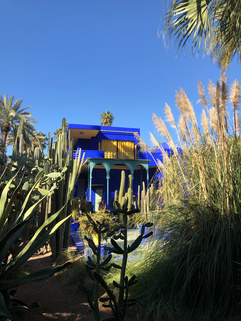 Recess Los Angeles RecessAbroad Marrakech Morocco Jardin Majorelle