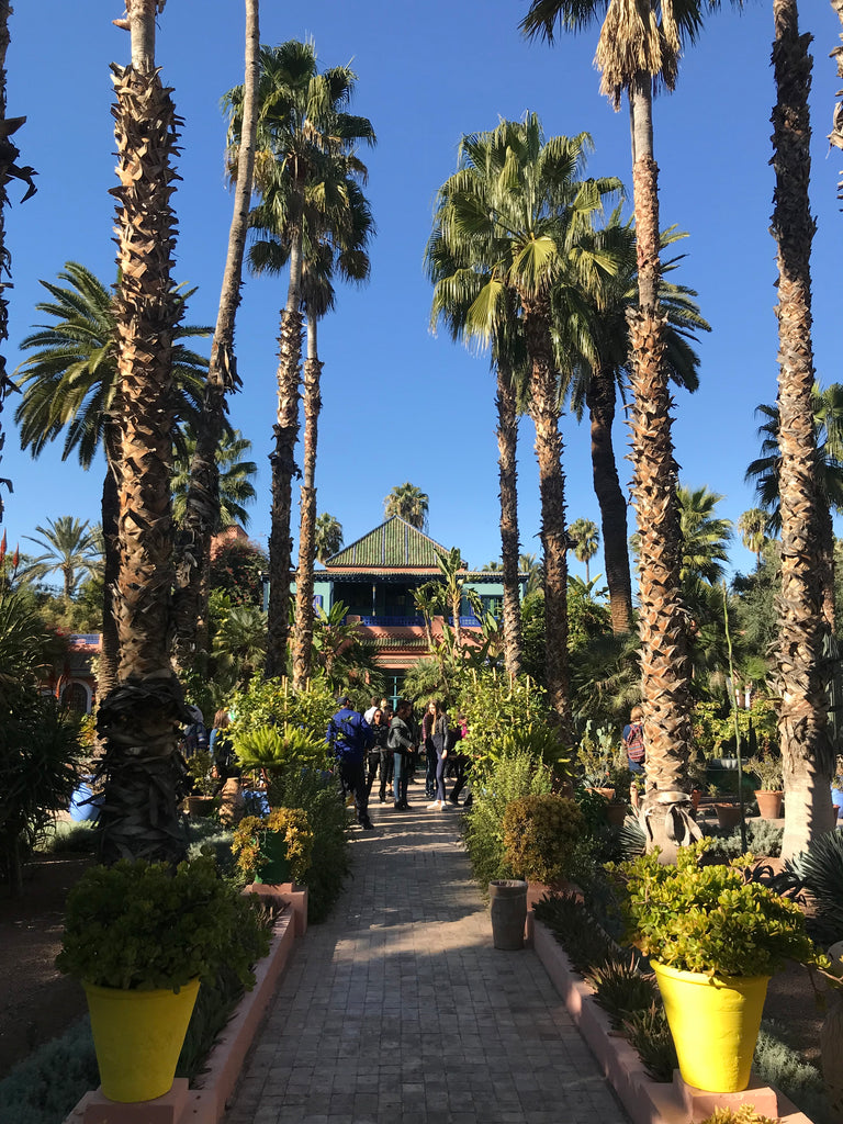 Recess Los Angeles RecessAbroad Marrakech Morocco Jardin Majorelle