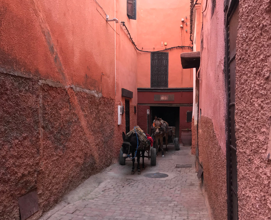 Recess Los Angeles RecessAbroad Marrakech Morocco Medina Donkey