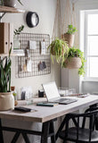 Home office with greenery