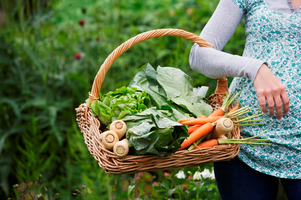 Skin-Boosting-Seasonal-Food