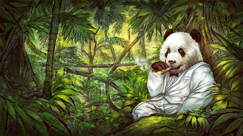 dessin panda bambou foret