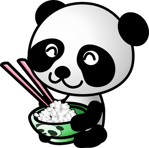 dessin panda riz