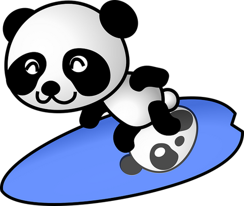 dessin panda surf