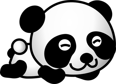 dessin panda ventre