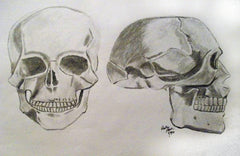 Skulls by Becky Doyon
