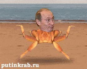 Combat Flip Flops Talk Shit Tuesday Vladimir Putin Turkey ISIS Assassination