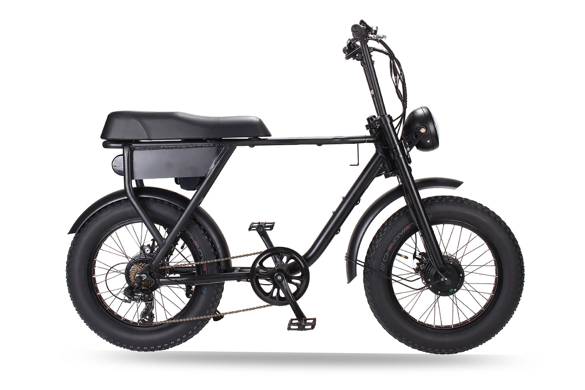 dual hub electric bike
