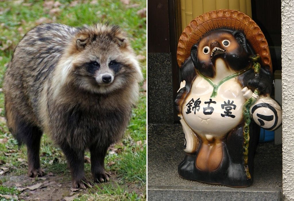 yokai tanuki