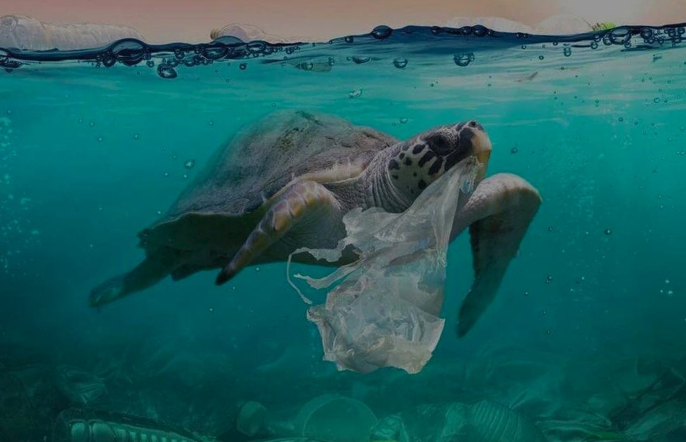 Pollution plastique océans
