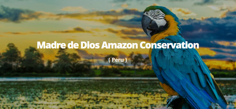 Amazon Conservation - Us and The Earth
