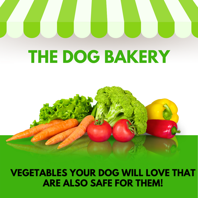 can you give dogs raw vegetables