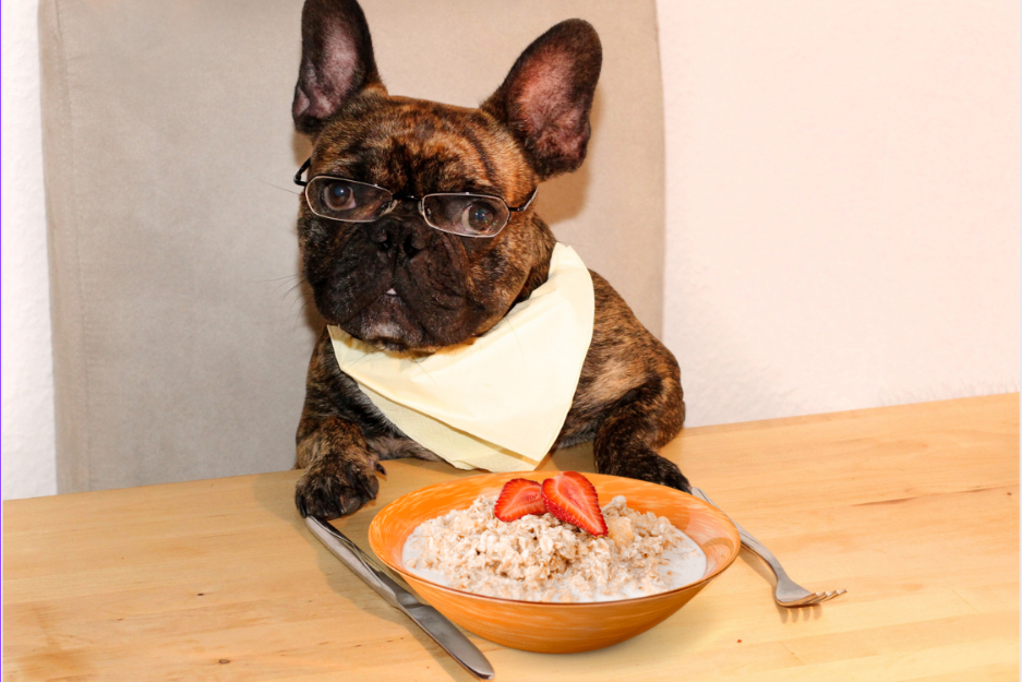 is oatmeal good for diabetic dogs